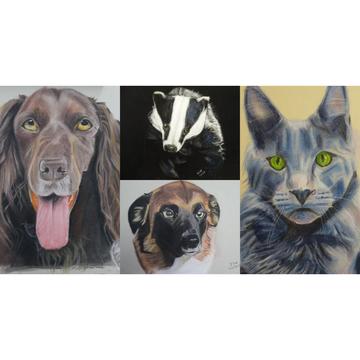 Bespoke pastel pet portraits