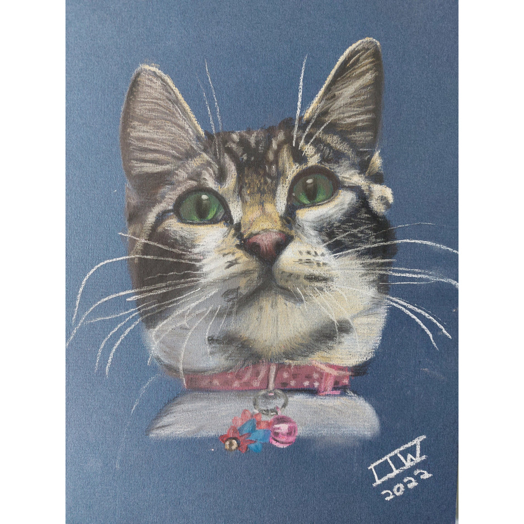 Bespoke Pet Portraits by Ian Worth