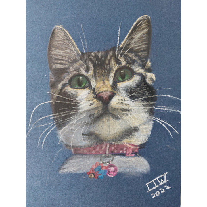 Bespoke Pet Portraits by Ian Worth