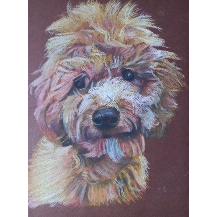 Bespoke Pet Portraits by Ian Worth