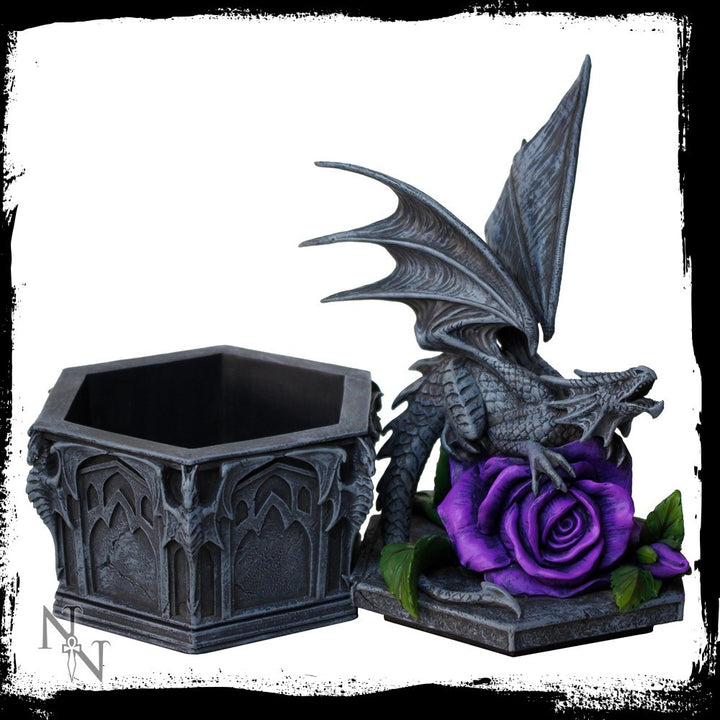 Dragon beauty box, open