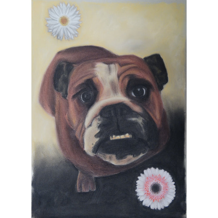 Bespoke Pet Portraits by Ian Worth
