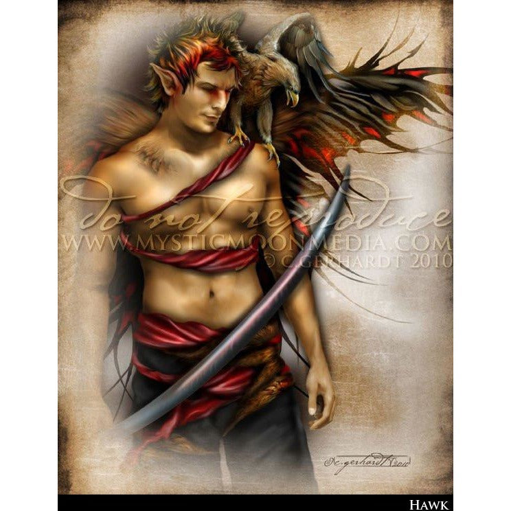 Hawk, Warrior Fae print,