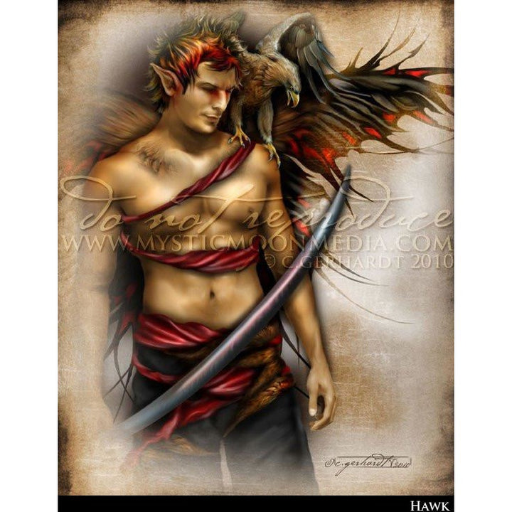 Hawk, Warrior Fae print,