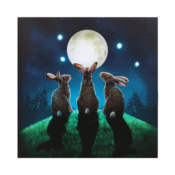 Moon Shadows Light Up Canvas Plaque by Lisa Parker