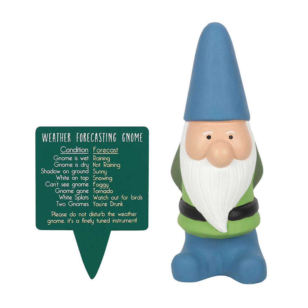 Large Weather Forecasting Gnome