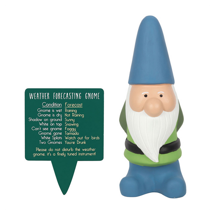 Large Weather Forecasting Gnome