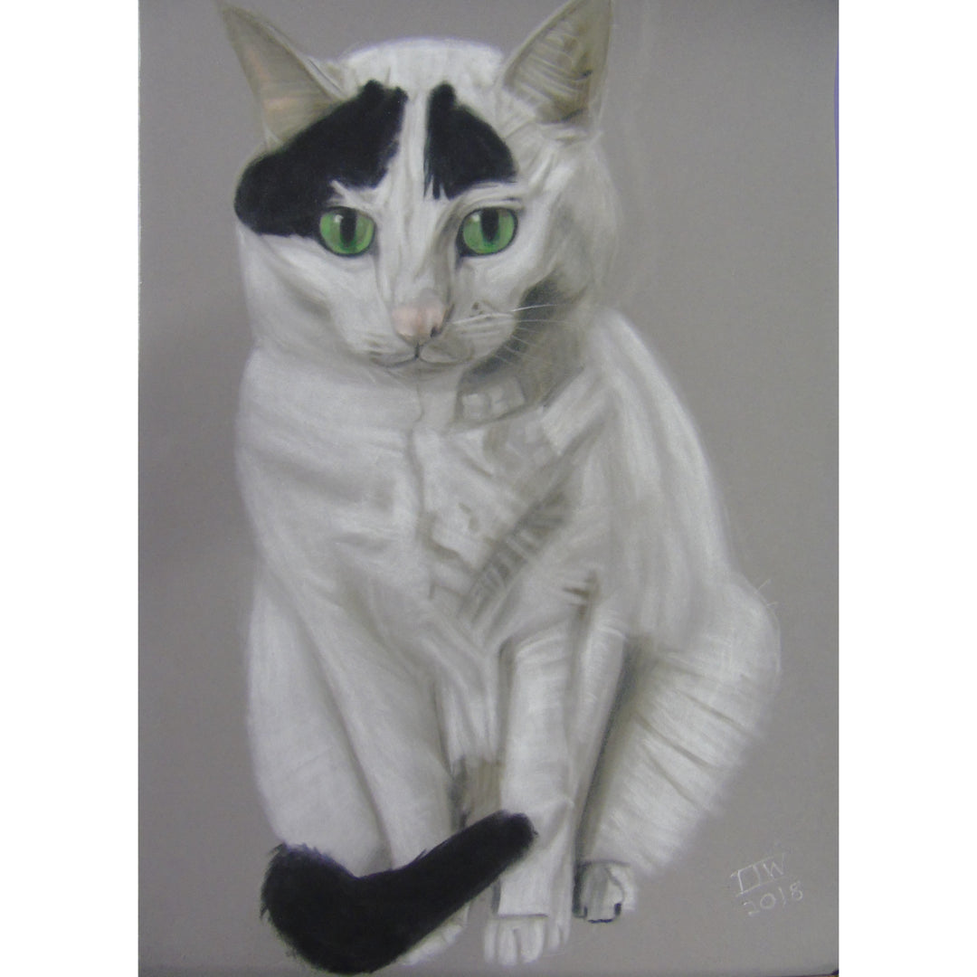 Bespoke Pet Portraits by Ian Worth