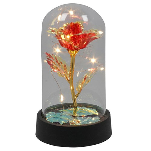Radiant rose dome, with LED lights (Small)
