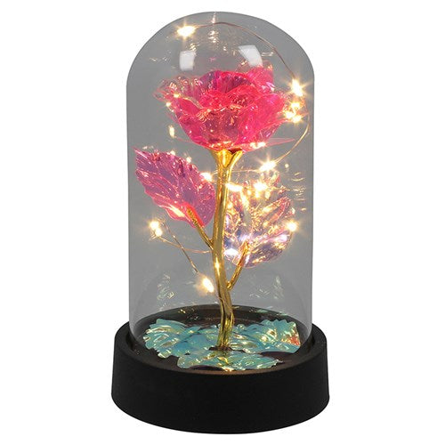 Radiant rose dome, with LED lights (Small)