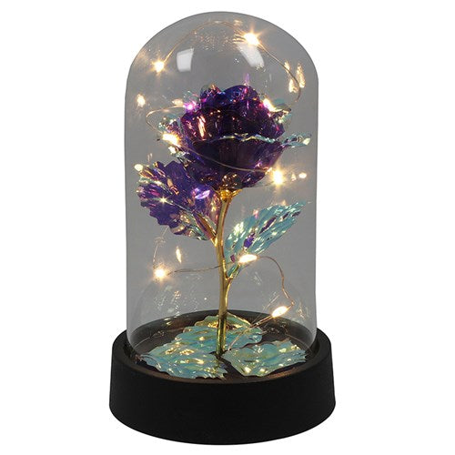 Radiant rose dome, with LED lights (Small)