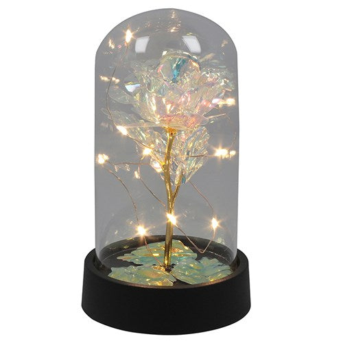 Radiant rose dome, with LED lights (Small)