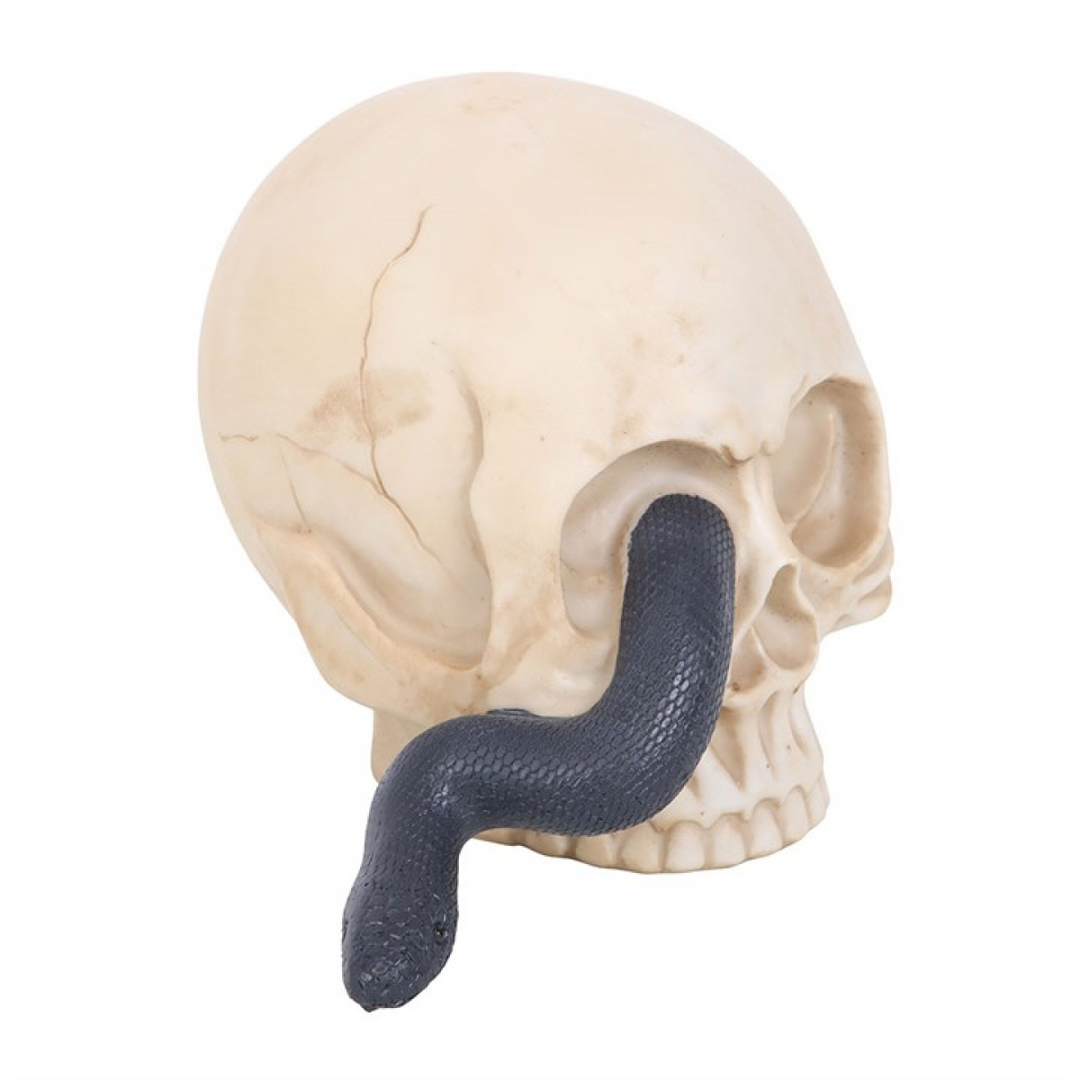 Skull Ornament with Snake