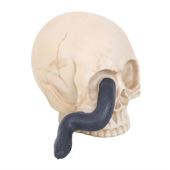 Skull Ornament with Snake