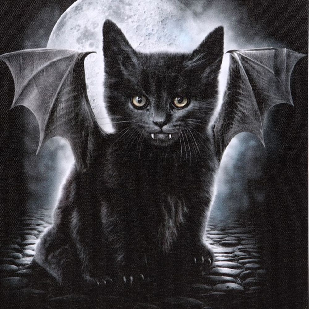 19x25cm Bat Cat Canvas Plaque by Spiral Direct