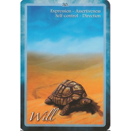 Chakra Insight oracle, example card: Will