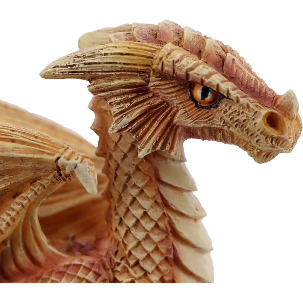 Desert Dragon head close up