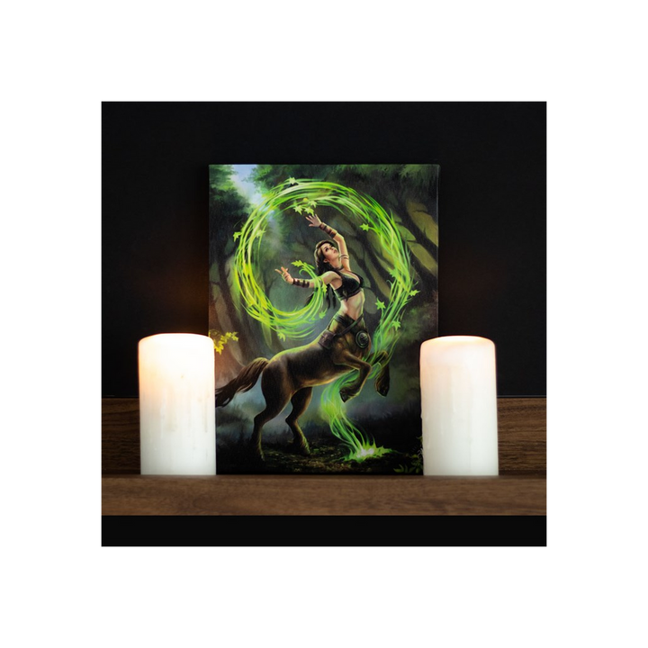 19x25cm Earth Element Sorceress Canvas Plaque by Anne Stokes