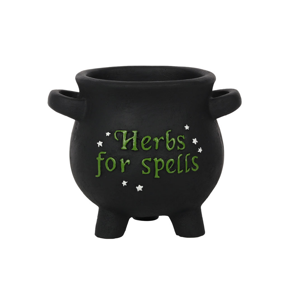 Small Herbs For Spells Cauldron Plant Pot