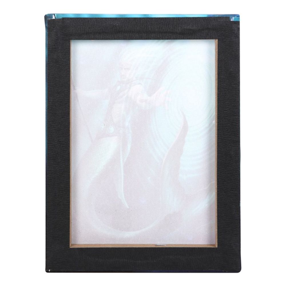 19x25cm Water Element Wizard Canvas Plaque by Anne Stokes
